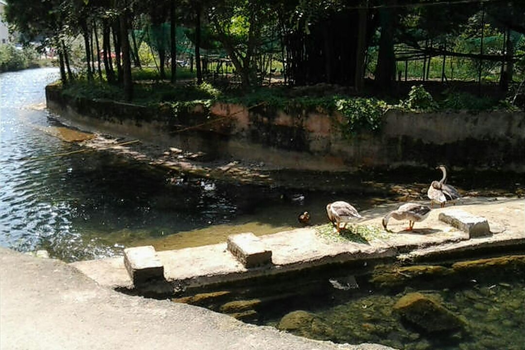 【携程攻略】贵阳香纸沟好玩吗,贵阳香纸沟景点怎么样