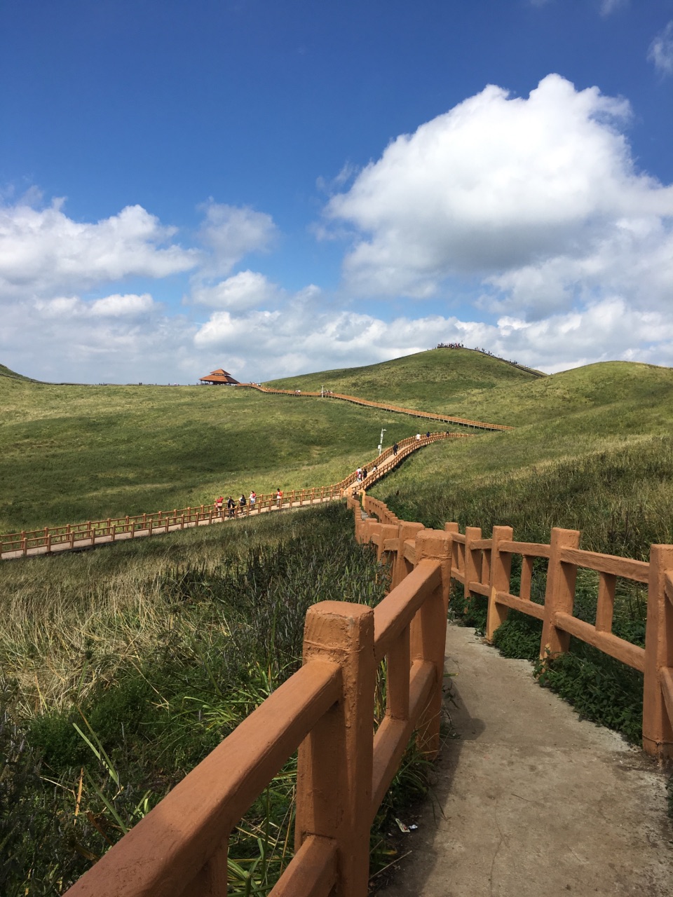 2018韭菜坪_旅游攻略_门票_地址_游记点评,毕节旅游