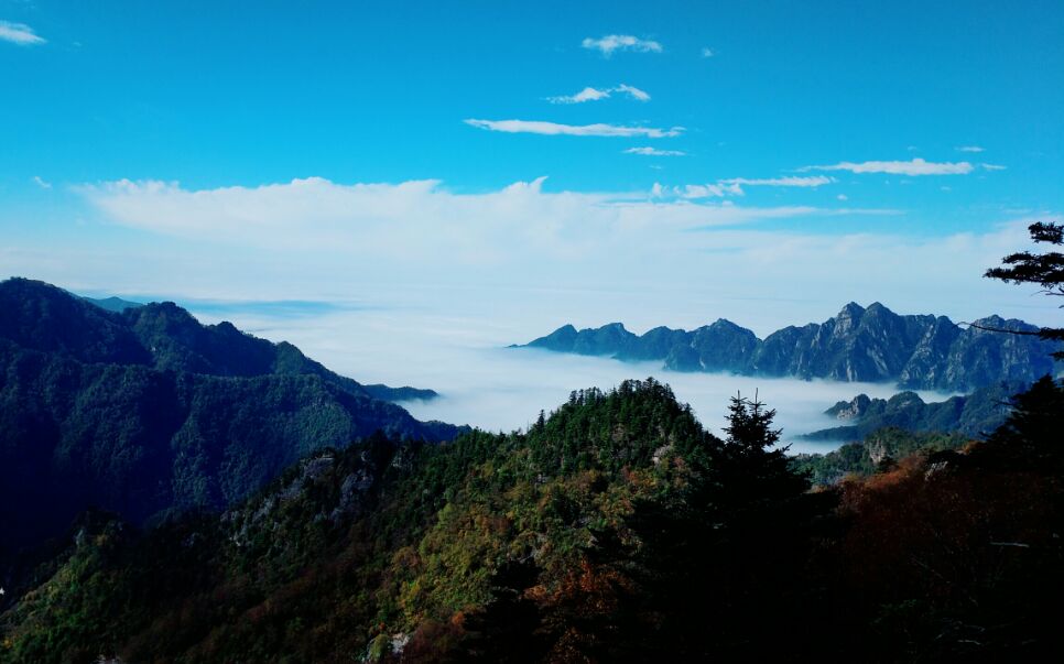 太白山国家森林公园