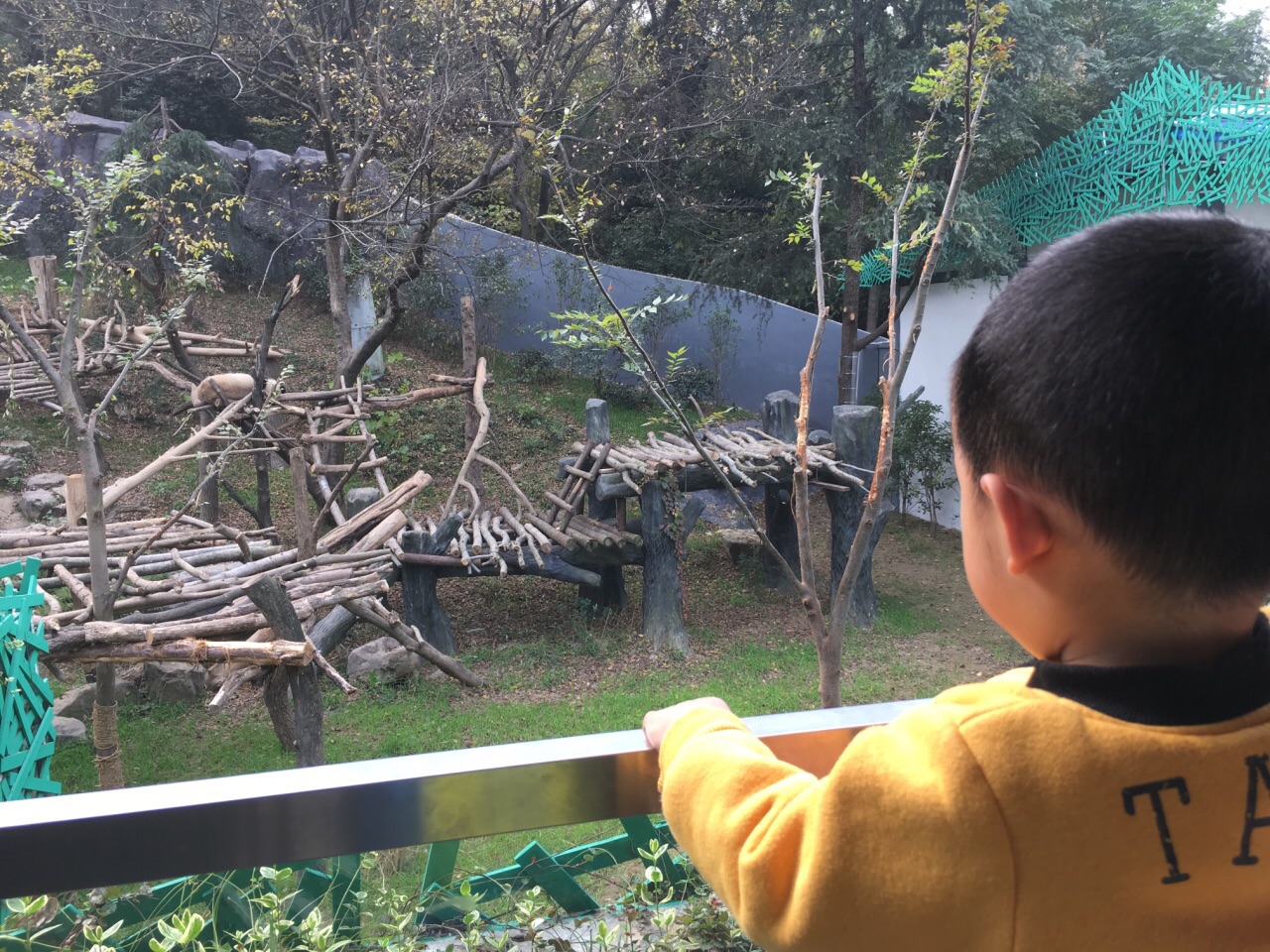 红山森林动物园旅游景点攻略图