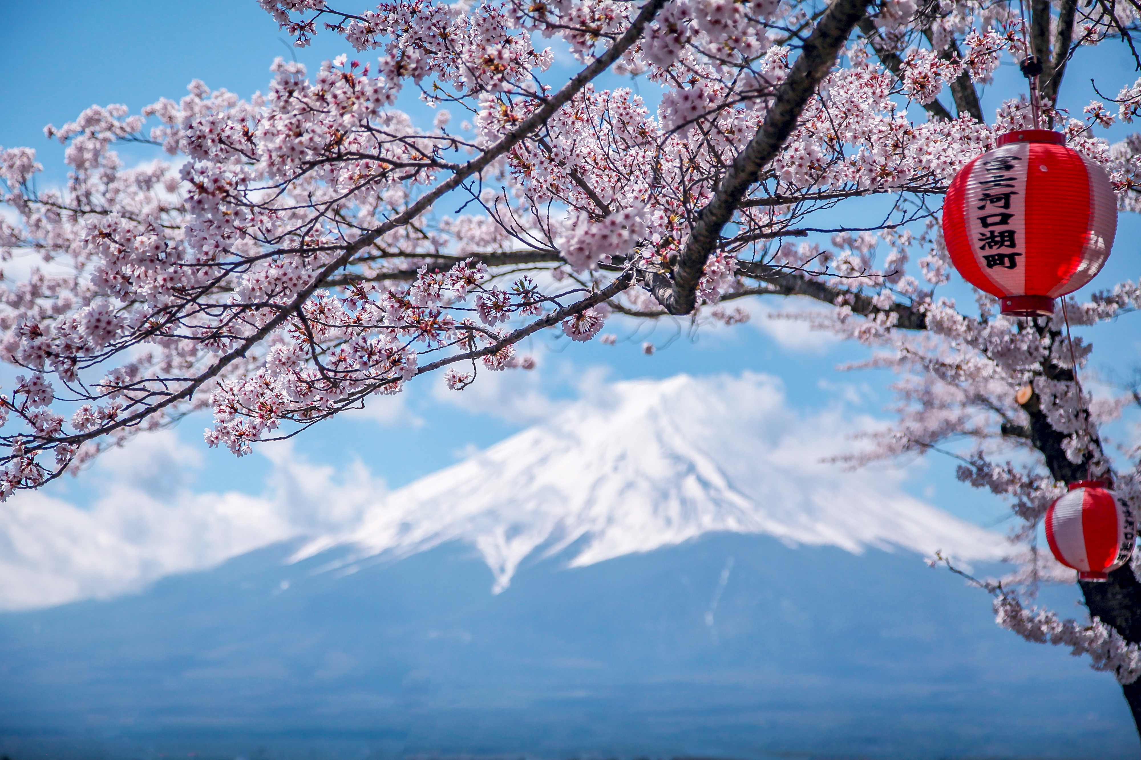 【v游记】一场张狂的后樱花季——热海富士山三日小巡游