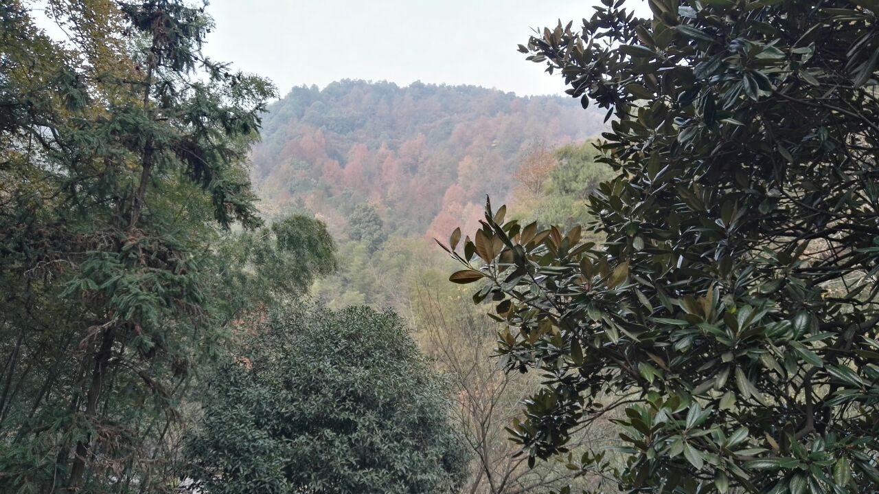 韶山滴水洞好玩吗,韶山滴水洞景点怎么样_点评_评价