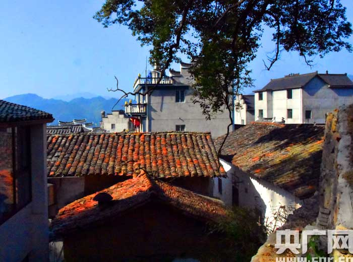 山上村落古道遗风浙江衢州东坪村采风录(图)