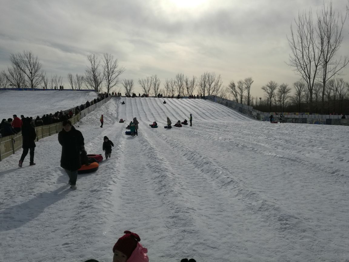 北京南宫冰雪嘉年华攻略,北京南宫冰雪嘉年华门票