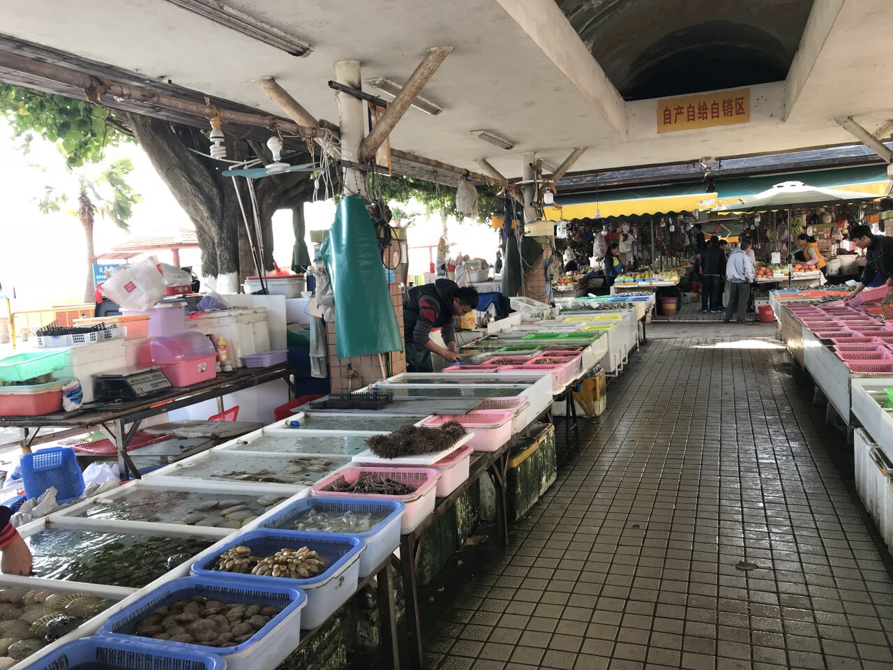 广州十九涌海鲜市场攻略,十九涌海鲜市场特色菜推荐