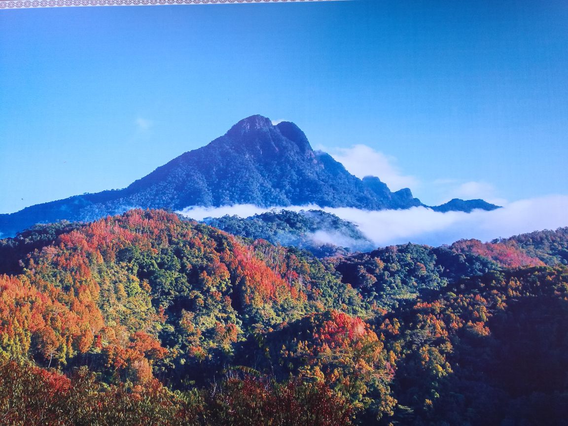 五指山热带雨林风景区