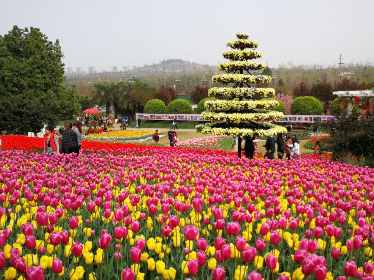 新都区漫花庄园好玩吗,新都区漫花庄园景点怎么样_点评_评价【携程