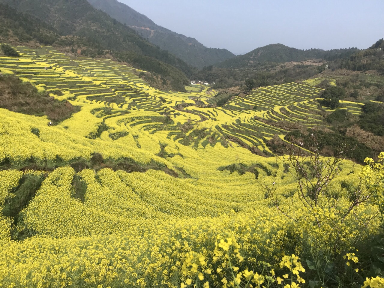 婺源篁岭