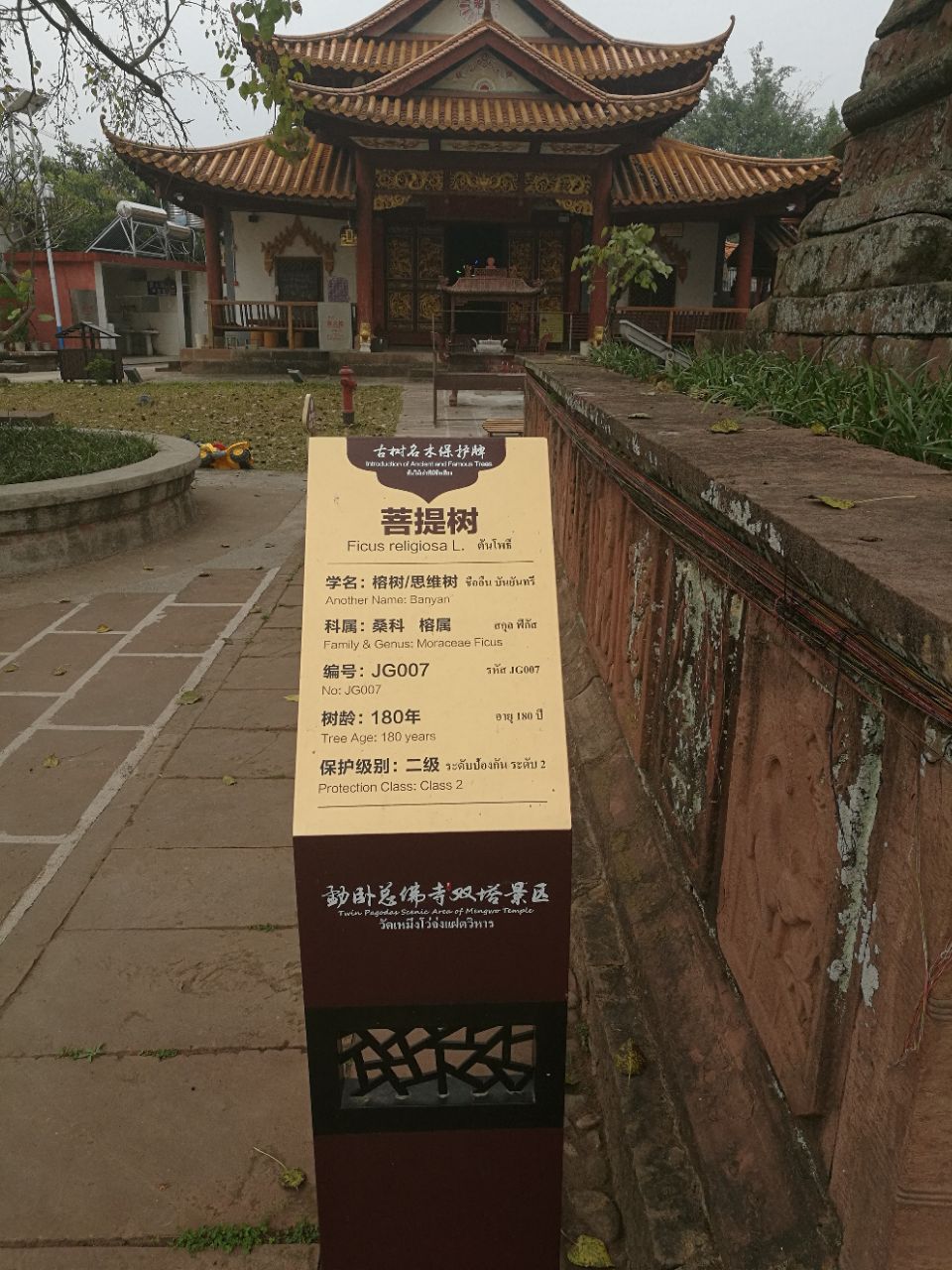 勐卧总佛寺旅游景点攻略图