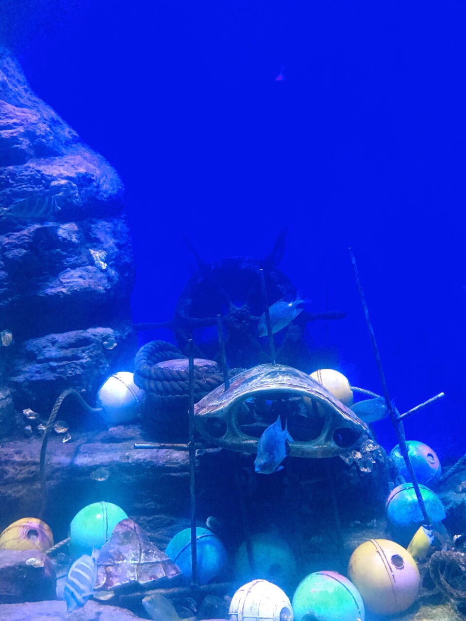 北海北海海底世界好玩吗,北海北海海底世界景点怎么样