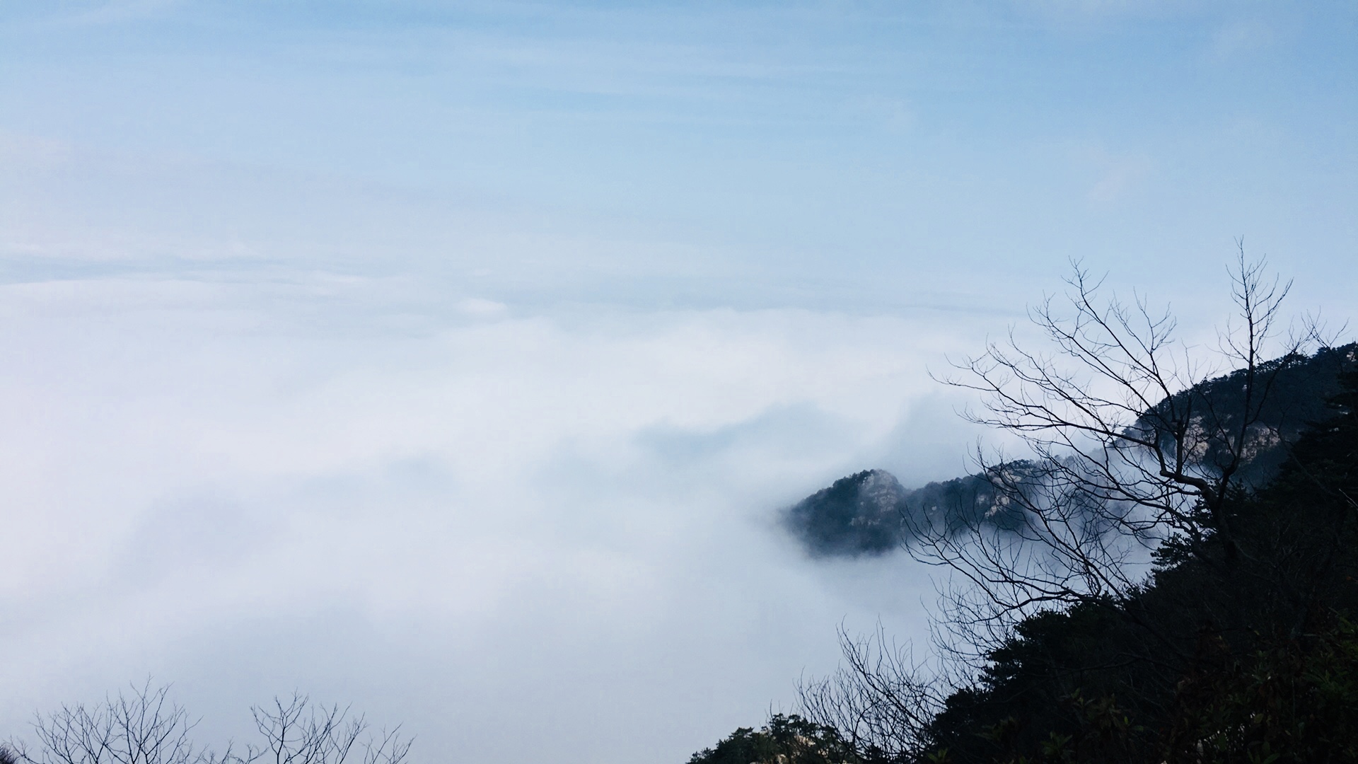 请教大家,庐山两条线路哪条适合老年人,几月份适合去庐山