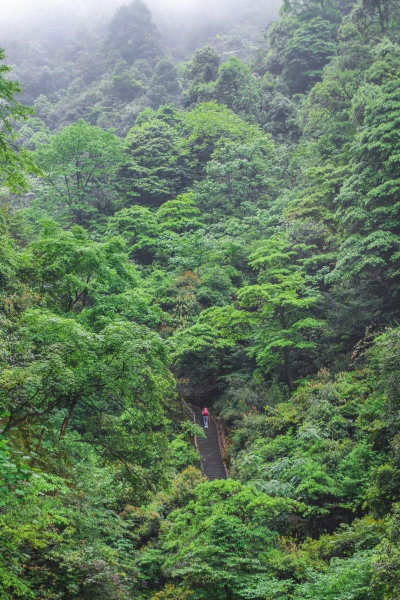 是去祈福也是找刺激,用3天2夜徒步峨眉山