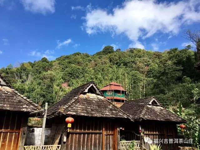 客至心常热,人走茶不凉——南糯山姑娘寨福兴吉普洱茶