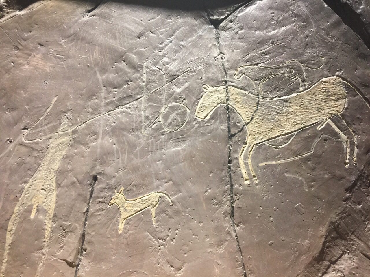 贺兰山岩画