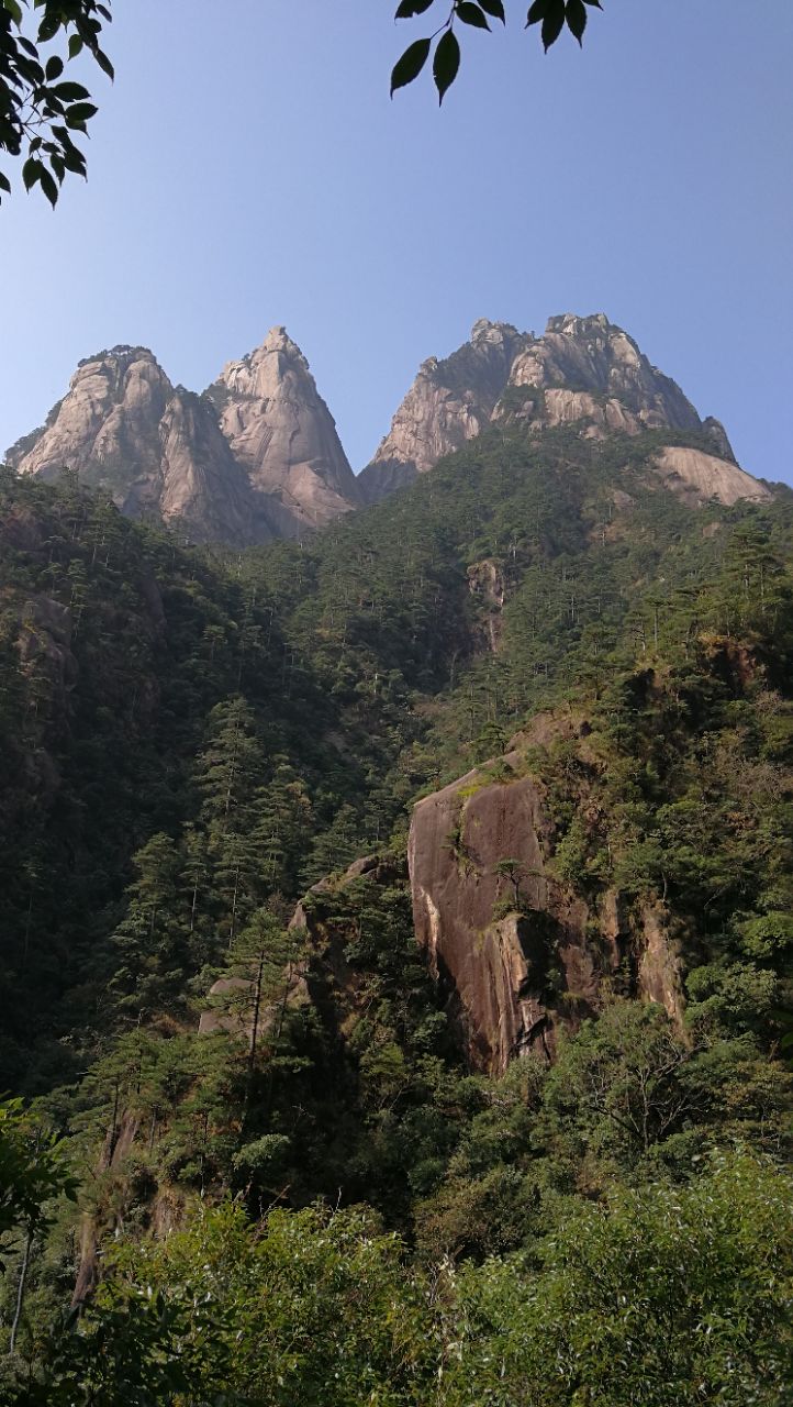 黄山风景区云谷景区好玩吗,黄山风景区云谷景区景点样