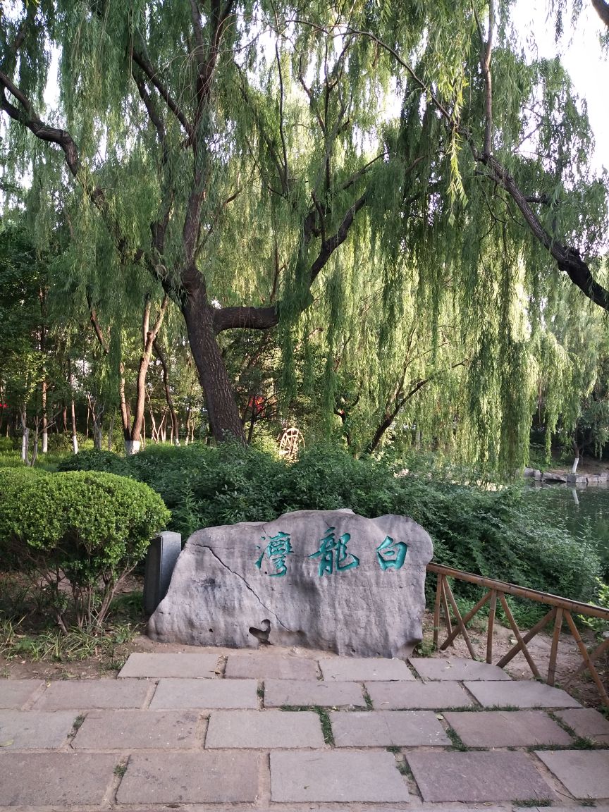 来到济南,你就必须来这第一泉――趵突泉.
