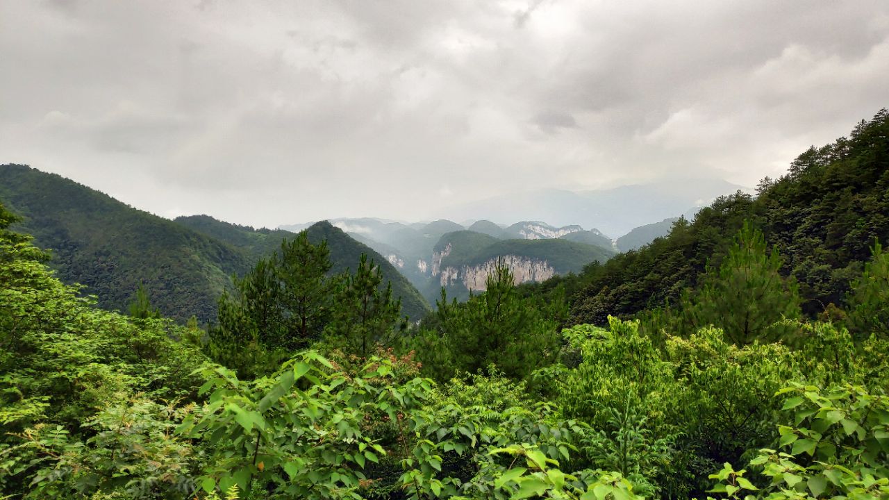 涪陵区武陵山大裂谷好玩吗,涪陵区武陵山大裂谷景点怎么样_点评_评价