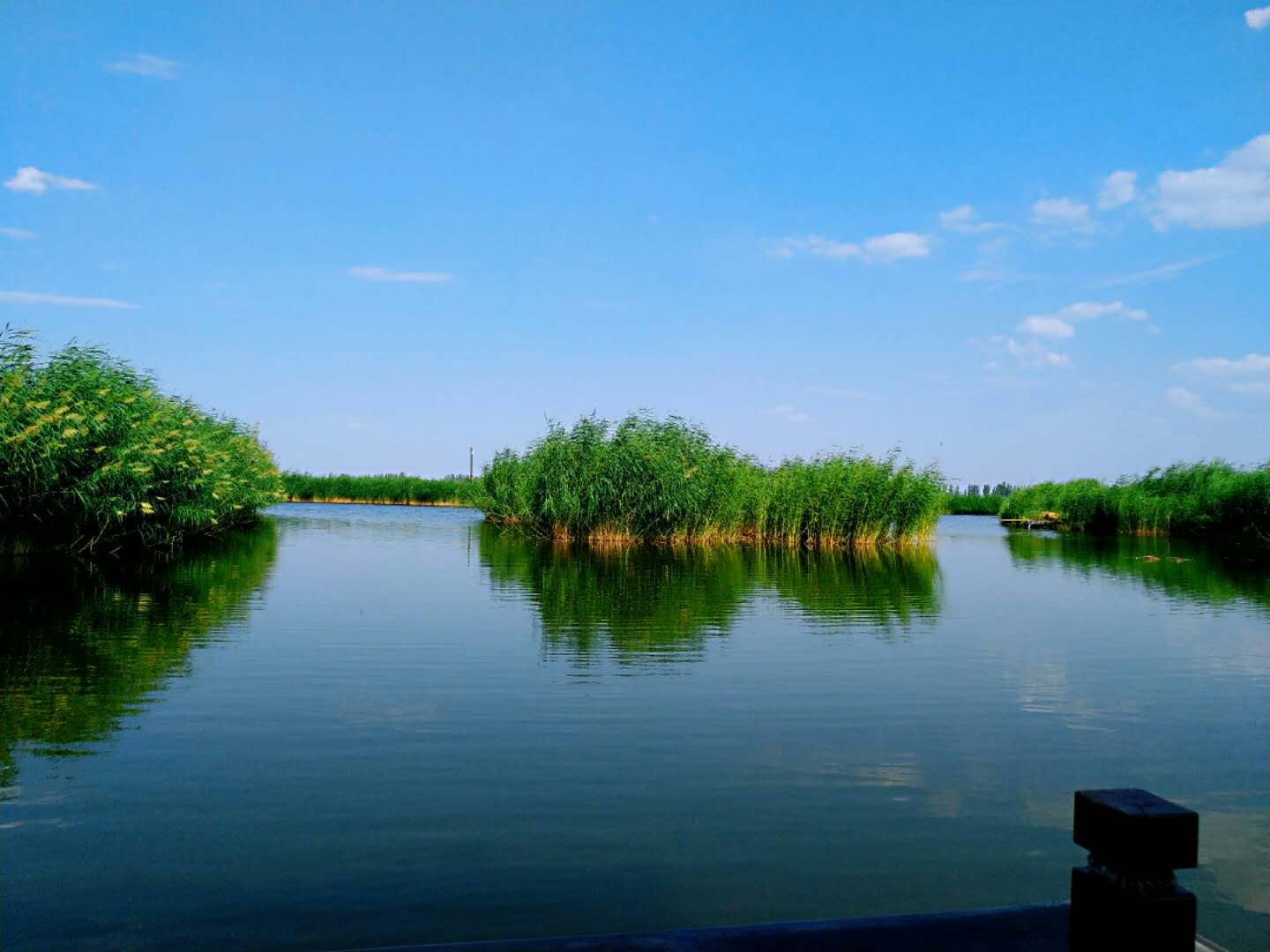 银川鸣翠湖国家湿地公园