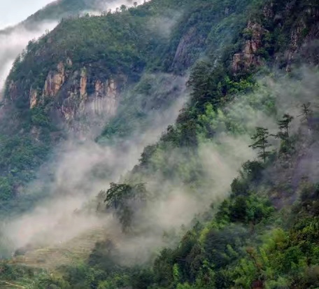 金鸡岭