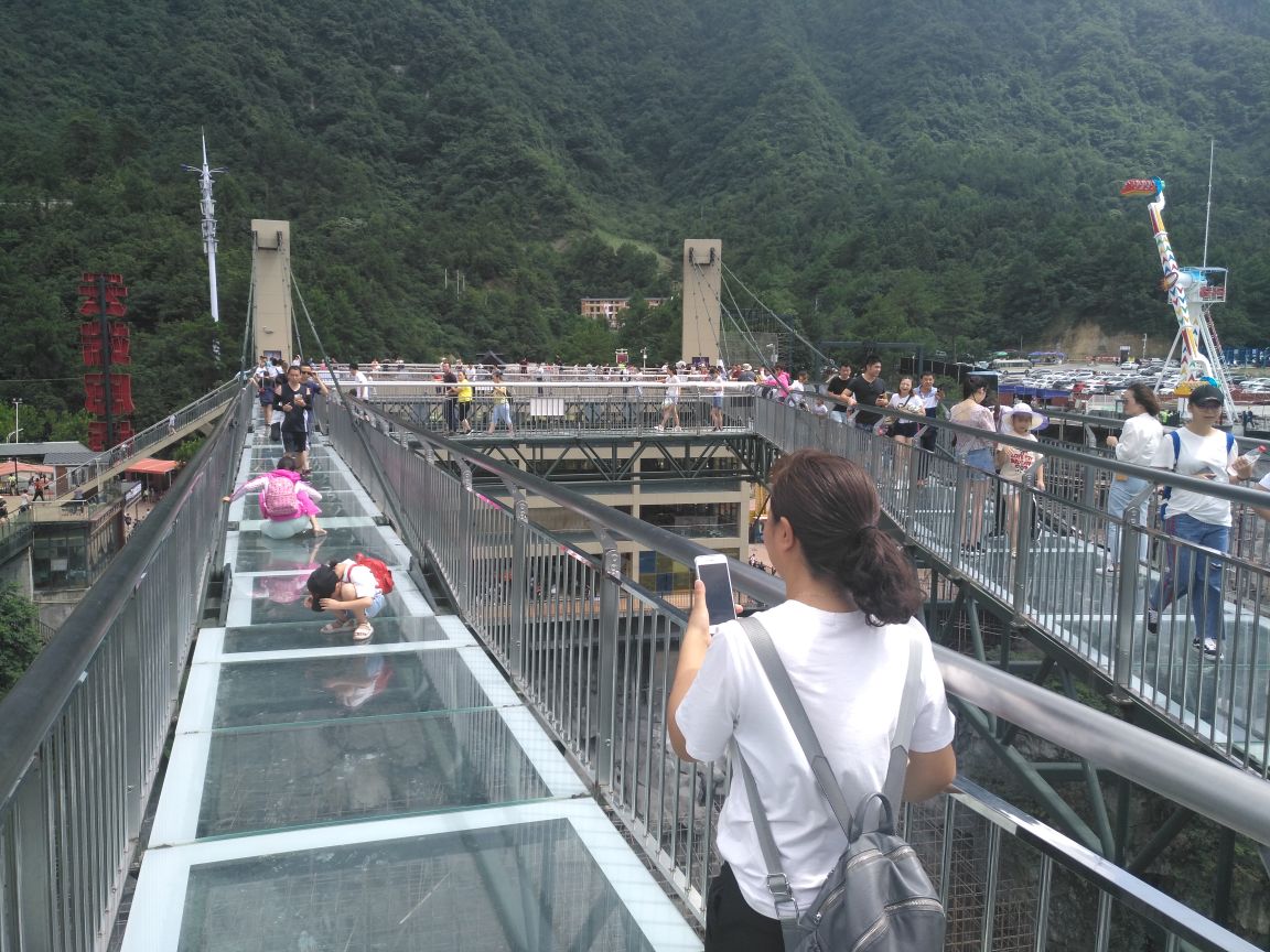 梦幻奥陶纪景区