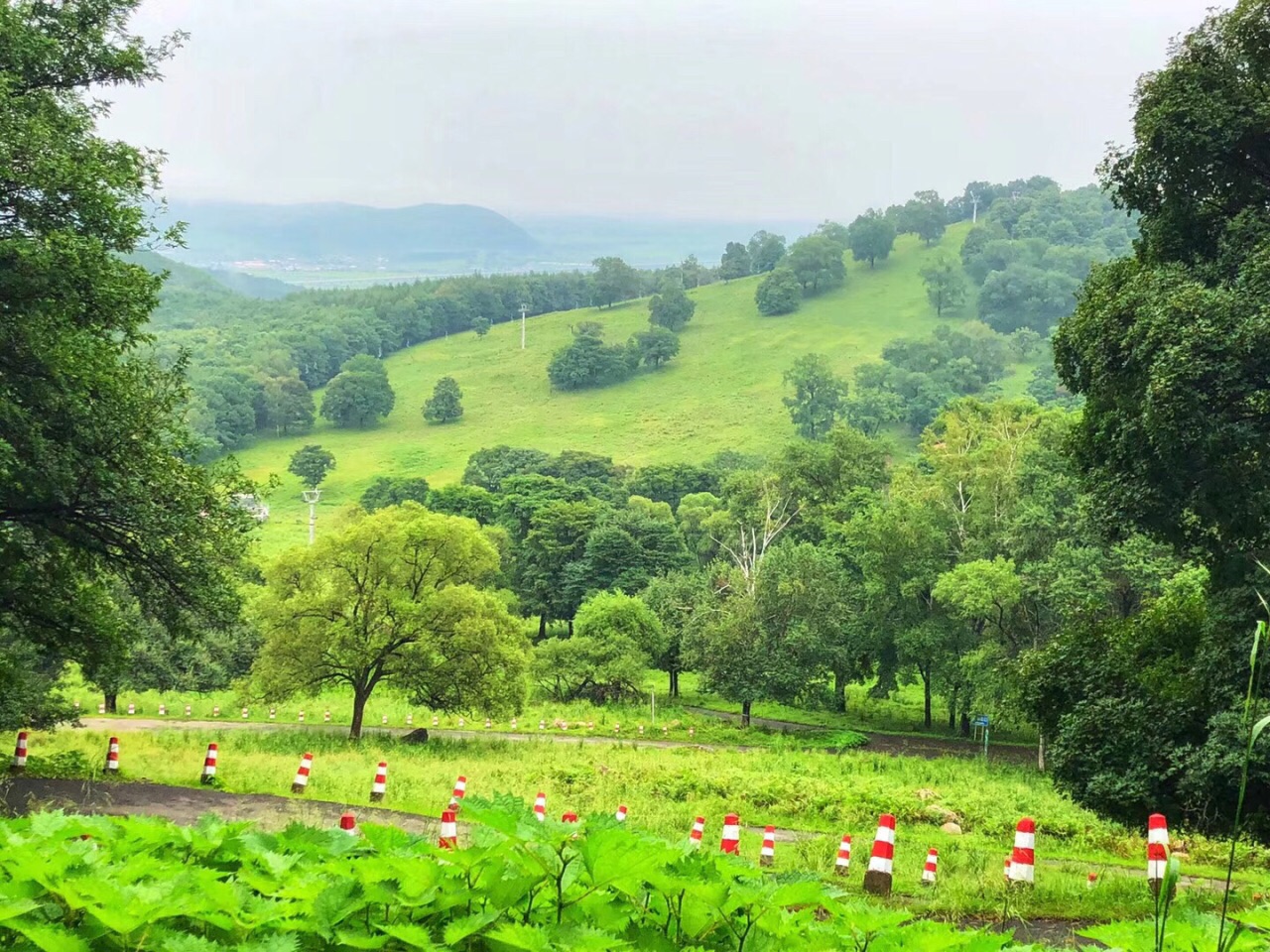 2019平山神鹿旅游区-旅游攻略-门票-地址-问答-游记点评,哈尔滨旅游