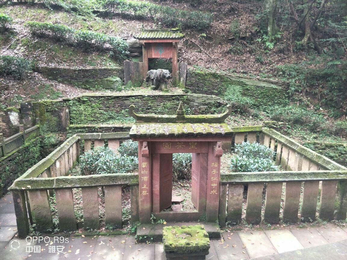 蒙顶山旅游景点攻略图
