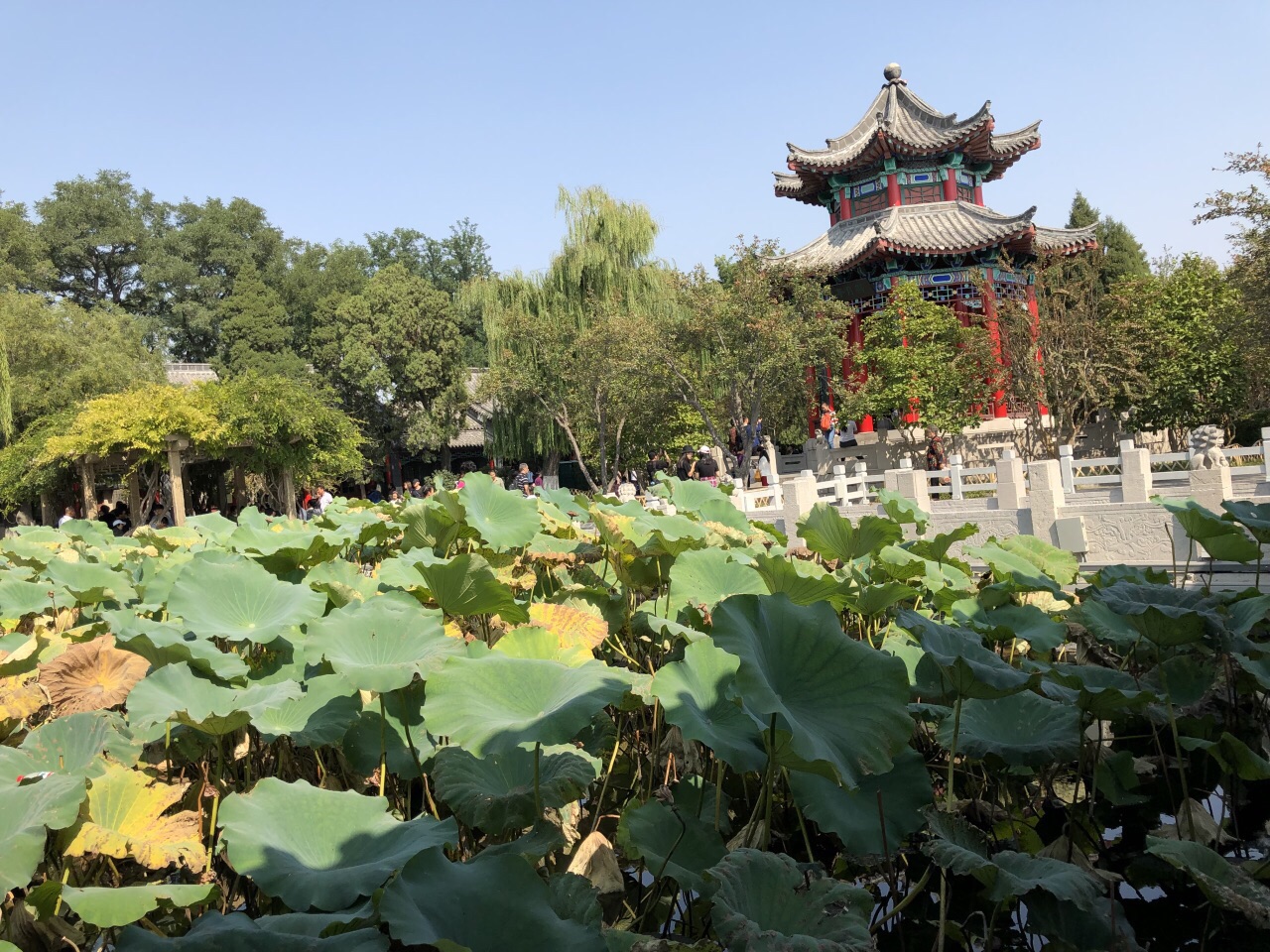 大明湖景区