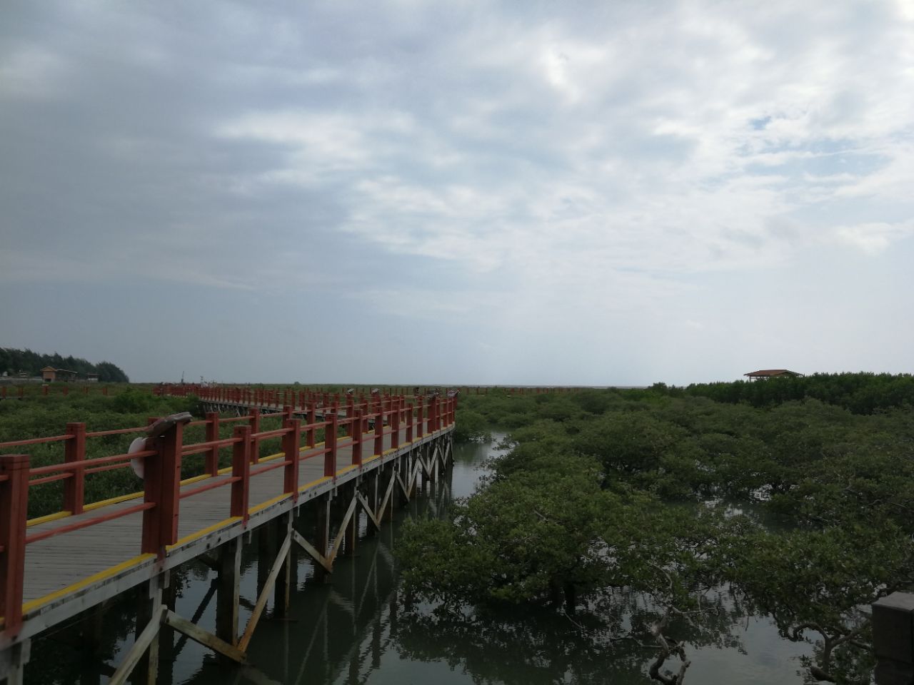 北海金海湾红树林生态旅游区