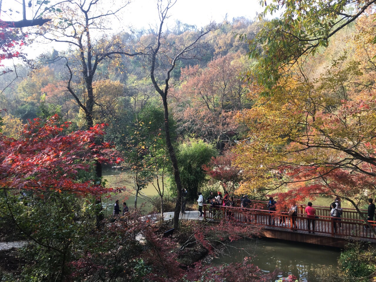 2019栖霞山_旅游攻略_门票_地址_游记点评,南京旅游景点推荐 - 去哪儿