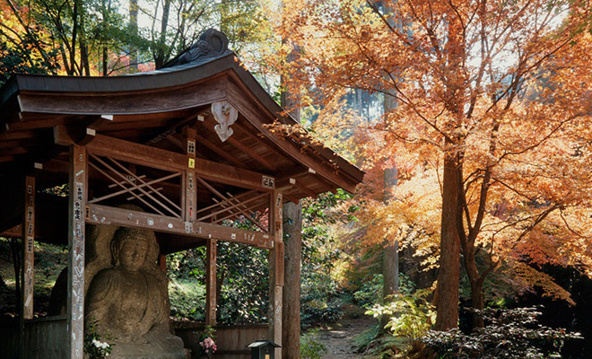 京都三千院好玩吗,京都三千院景点怎么样_点评_评价