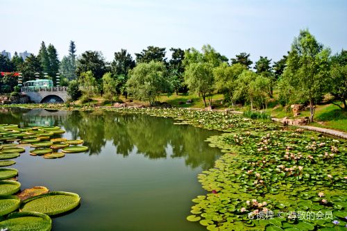 合肥植物园