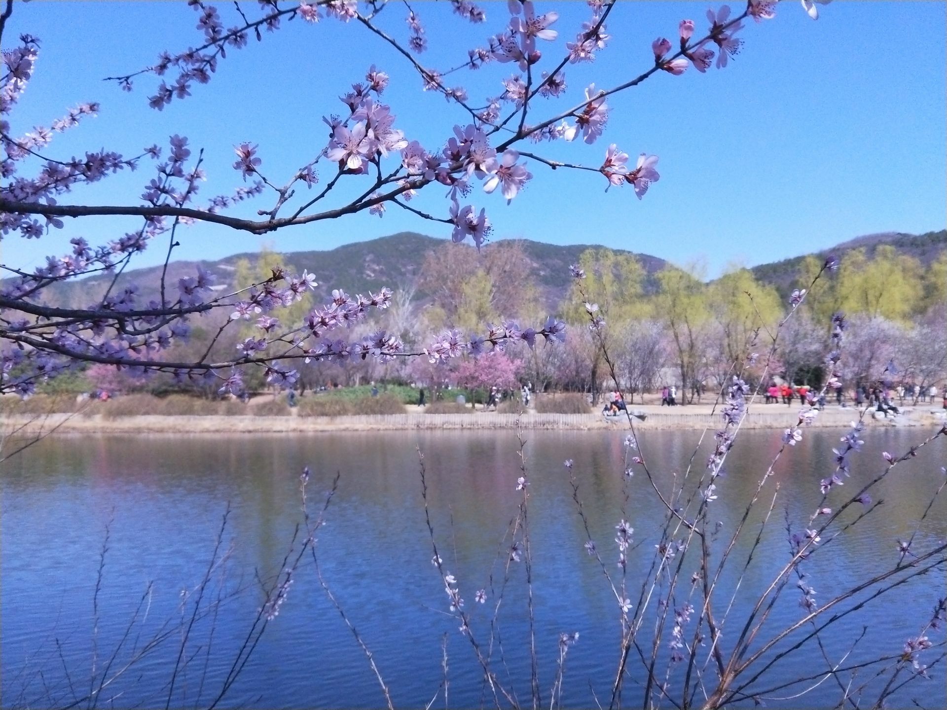 北京植物园