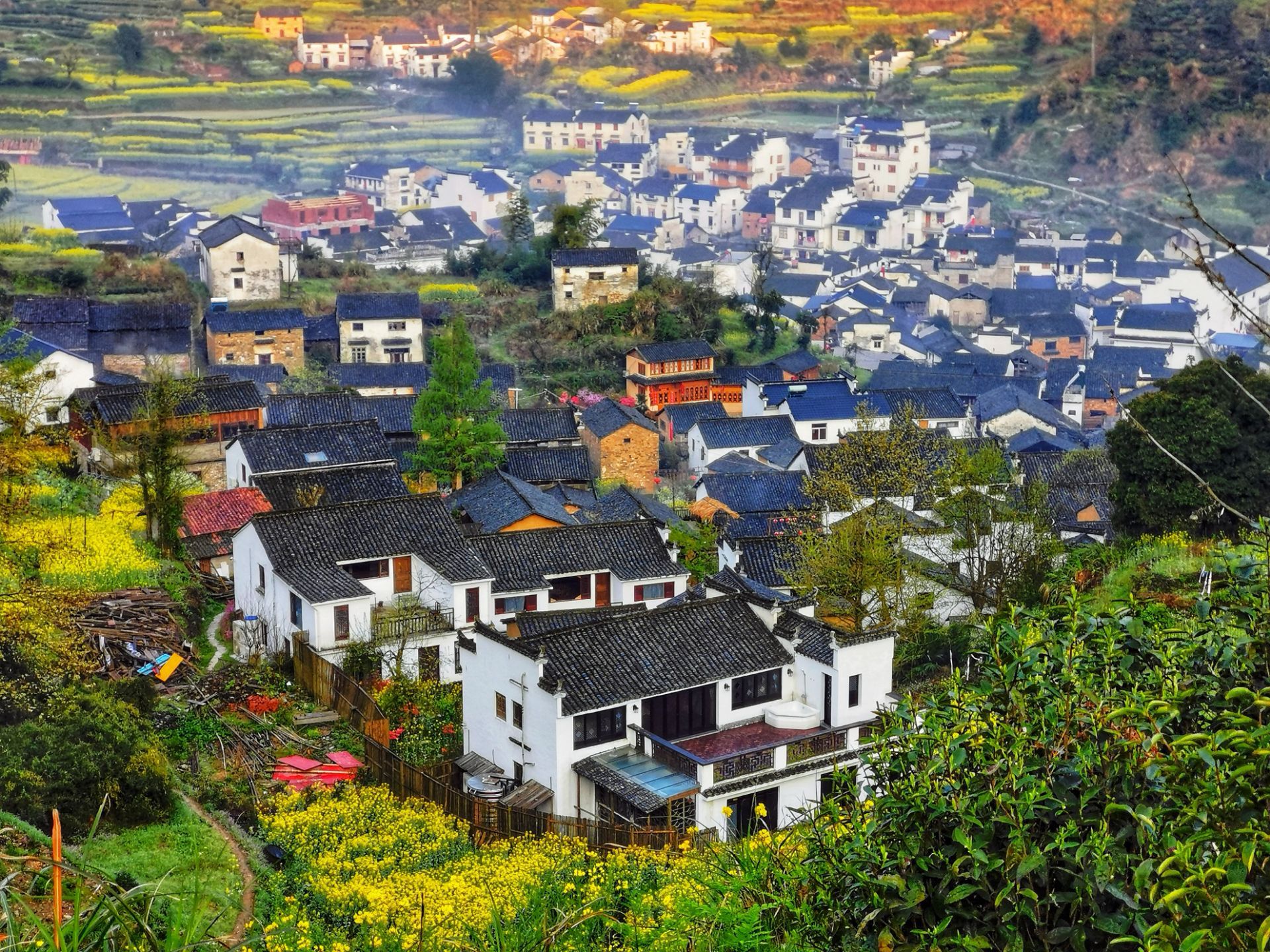祖源村