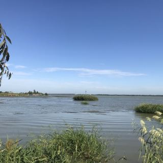 柳树湾湿地公园