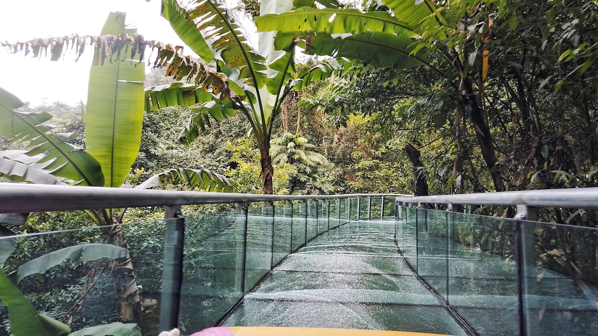 琼中海南百花岭热带雨林文化旅游区好玩吗,琼中海南岭