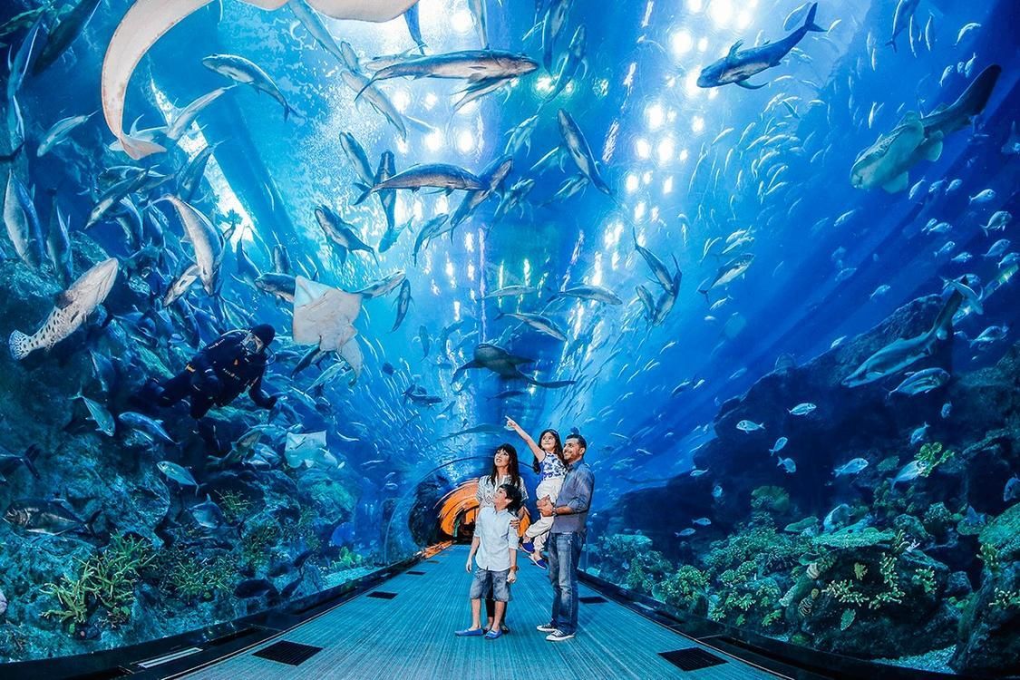 三亚亚特兰蒂斯失落的空间水族馆