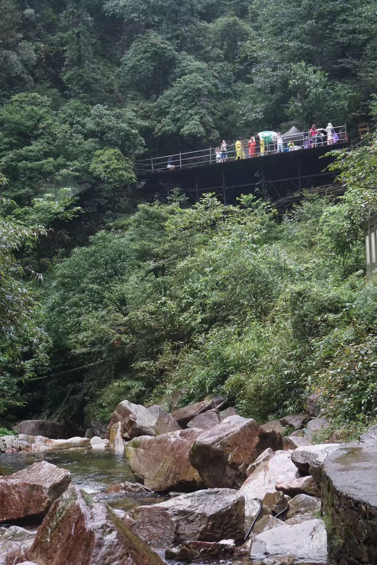 【携程攻略】莽山莽山国家森林公园景点,莽山位于郴州