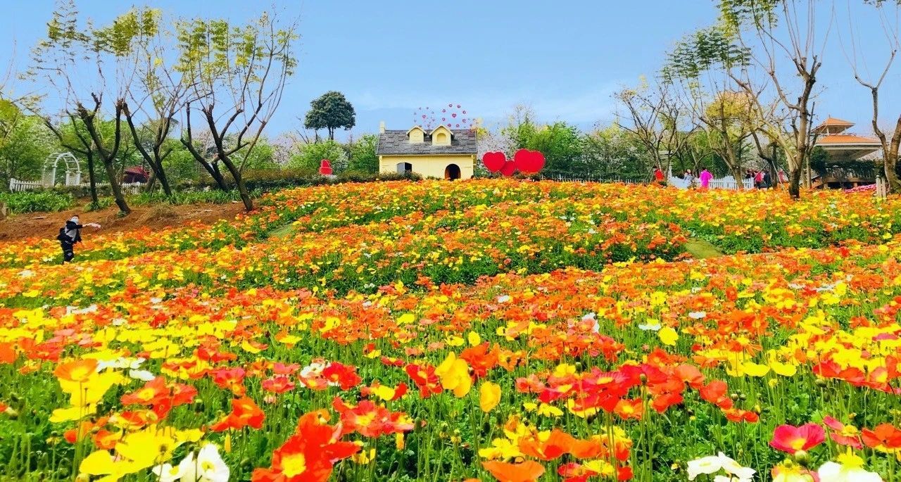 新都区漫花庄园好玩吗,新都区漫花庄园景点怎么样_点评_评价【携程