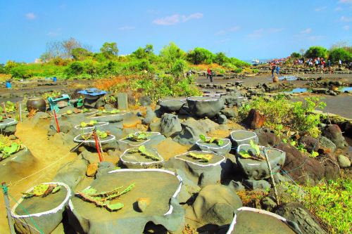 儋州磷枪石岛自然保护区攻略-磷枪石岛自然保护区门票价格多少钱-团购