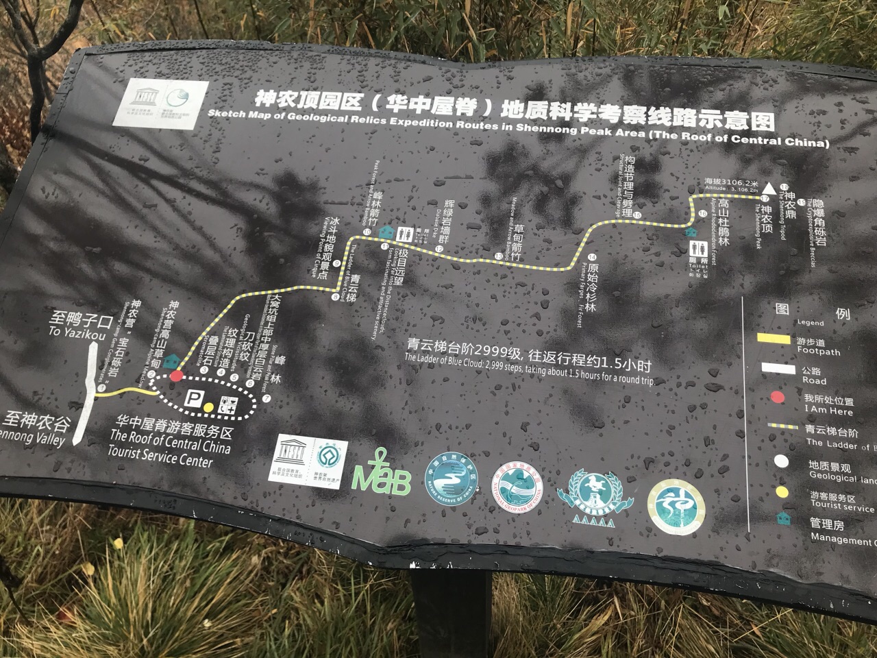 神农架神农顶风景区好玩吗,神农架神农顶风景区景点样