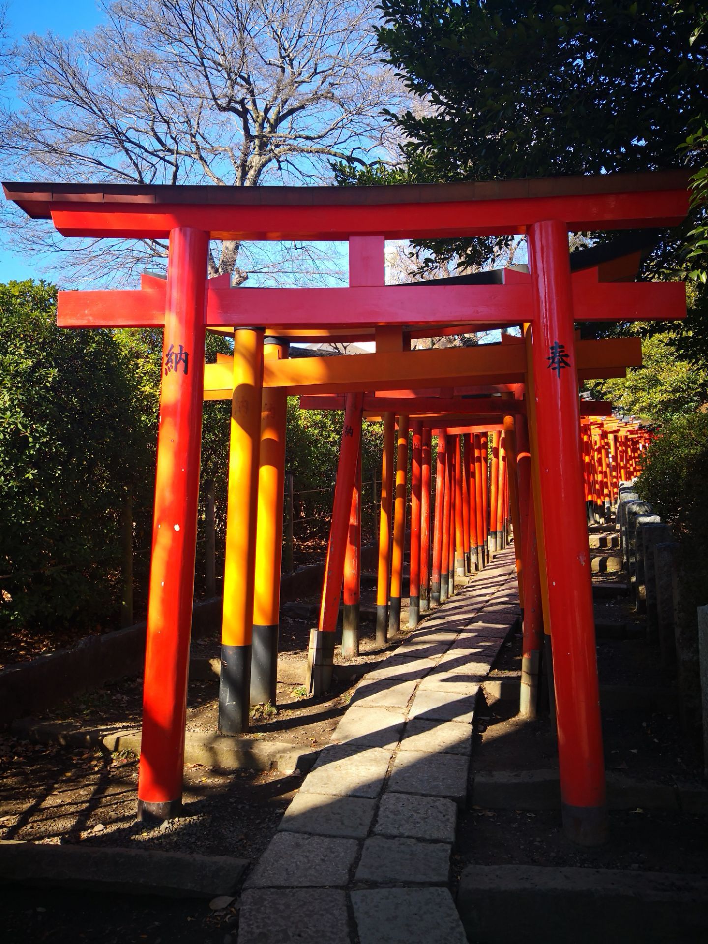 2019根津神社游玩攻略,根津神社是东京十大神社之一. 【去哪儿攻略】