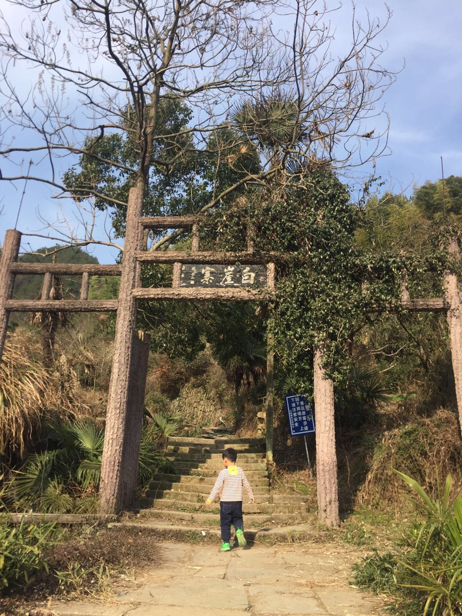 2019白崖寨_旅游攻略_门票_地址_游记点评,宿松旅游