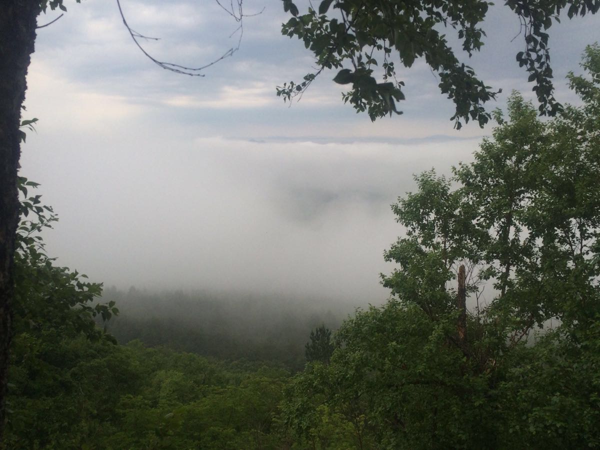 端午早起去踏青 空气很好 风景很好 山上还下雨了 闪电就在我们身后亮