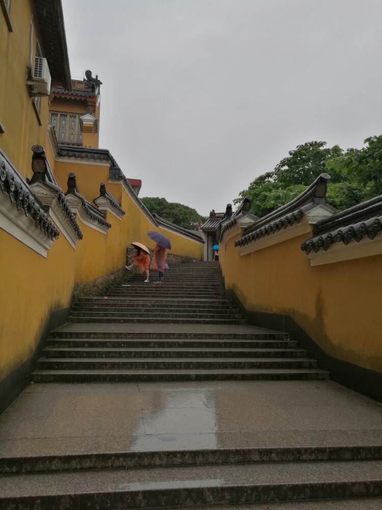 2019紫竹林_旅游攻略_门票_地址_游记点评,普陀山旅游