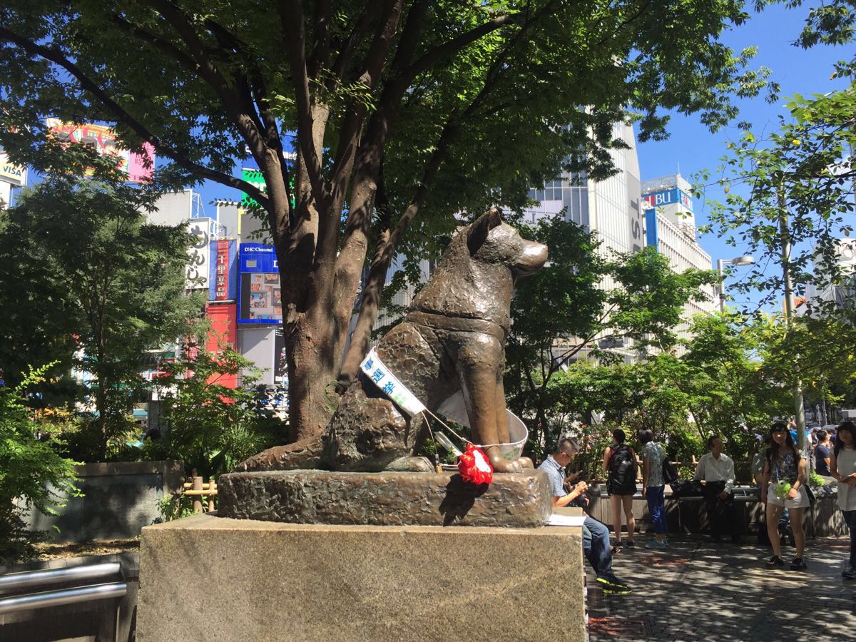 2019忠犬八公像-旅游攻略-门票-地址-问答-游记点评，东京旅游旅游景点推荐-去哪儿攻略