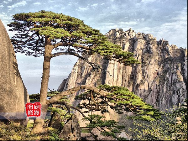 【携程攻略】黄山风景区迎客松适合朋友出游旅游吗,迎客松朋友出游