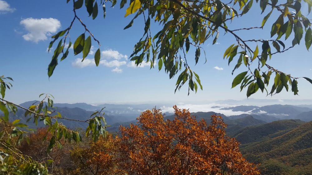 北京喇叭沟原始森林公园