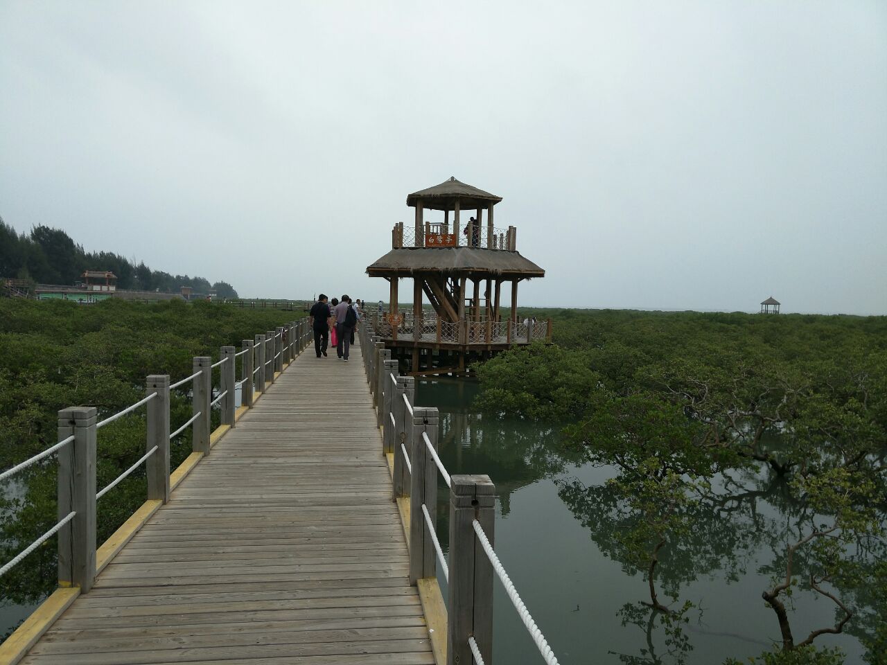 北海金海湾红树林生态旅游区