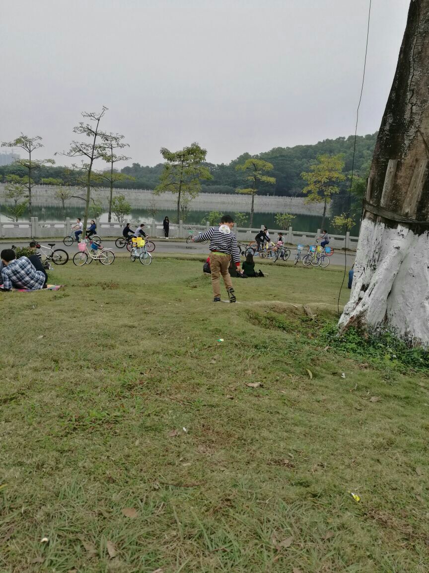 大夫山森林公园