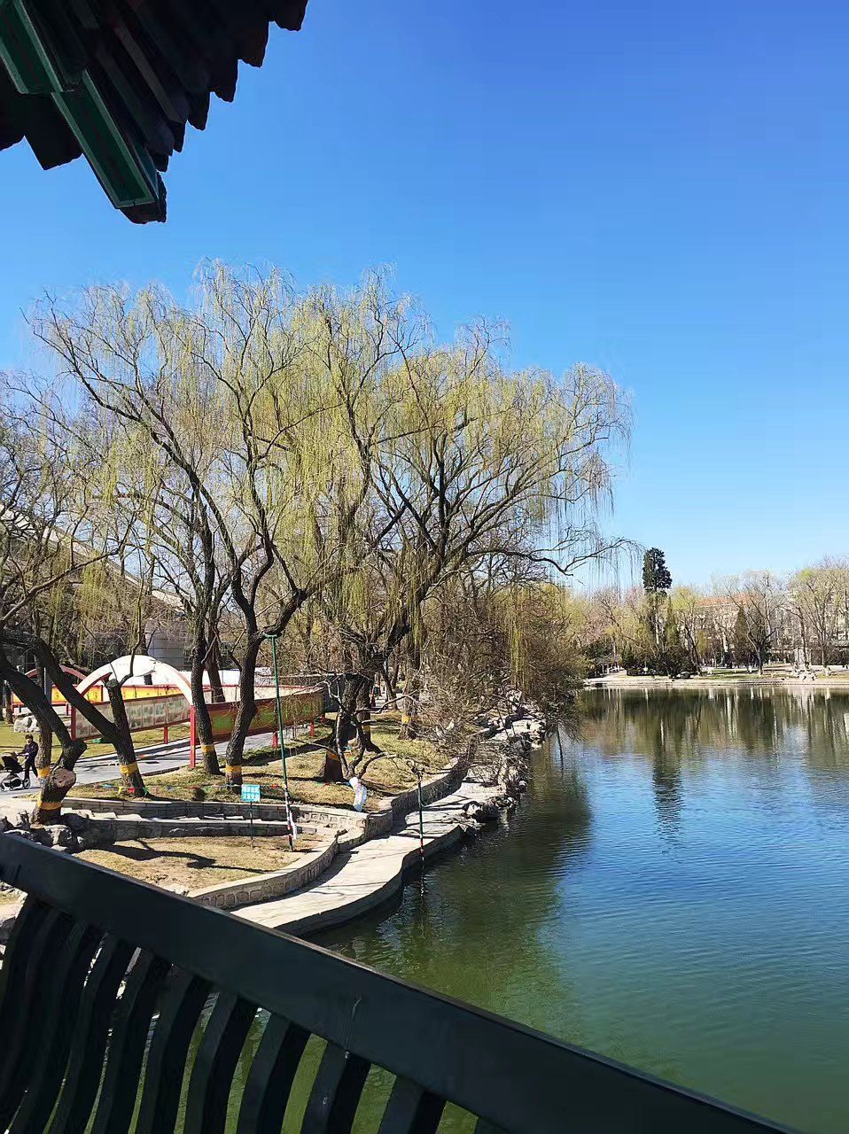 北京龙潭公园好玩吗,北京龙潭公园景点怎么样_点评